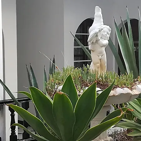 Tropical Loft Corralejo