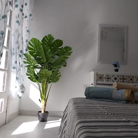 Tropical Loft * Κοραλέχο