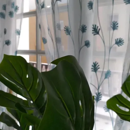 Tropical Loft * Κοραλέχο