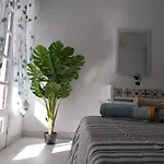Tropical Loft * 科拉雷侯