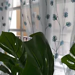 Tropical Loft * 科拉雷侯