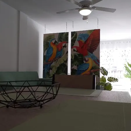 Apartmán Tropical Loft *