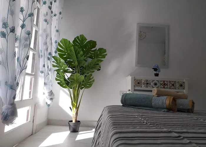 Tropical Loft * 科拉雷侯