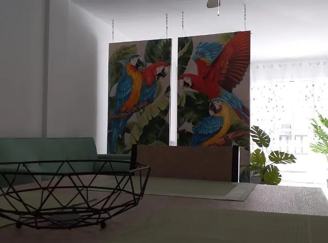 Daire Tropical Loft *